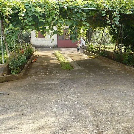 Apartman 11663b Biograd na Moru